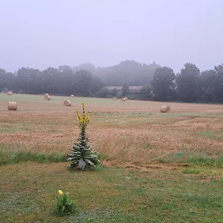 Διαμέρισμα Gabis *